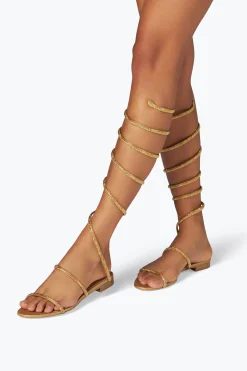 Sandale Supercleo Or Avec Cristaux 10